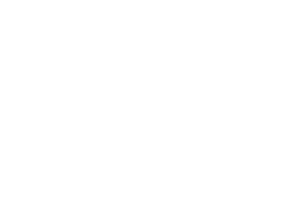 logo dior