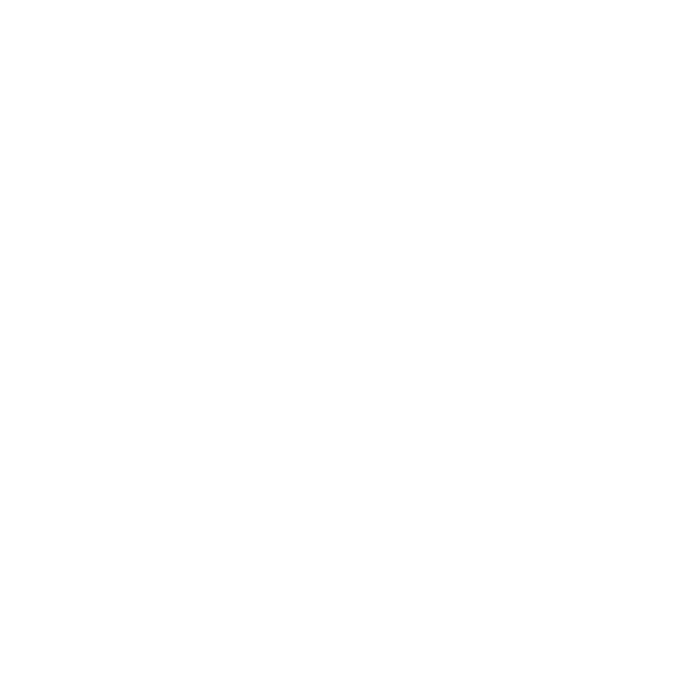 logo persol